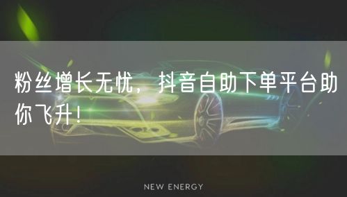 粉丝增长无忧，抖音自助下单平台助你飞升！