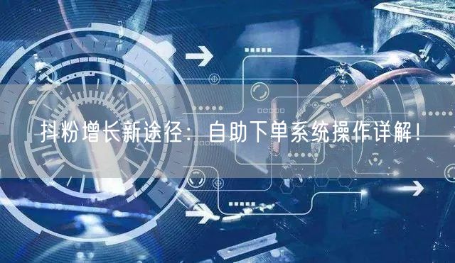 抖粉增长新途径：自助下单系统操作详解！