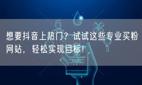 想要抖音上热门？试试这些专业买粉网站，轻松实现目标！
