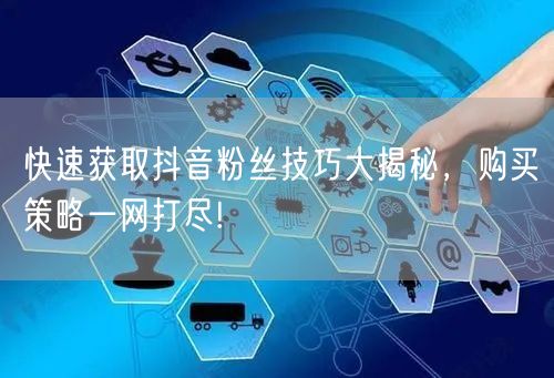 快速获取抖音粉丝技巧大揭秘，购买策略一网打尽!