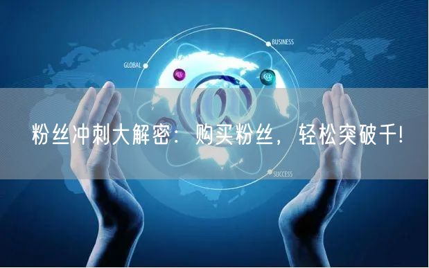 粉丝冲刺大解密：购买粉丝，轻松突破千!