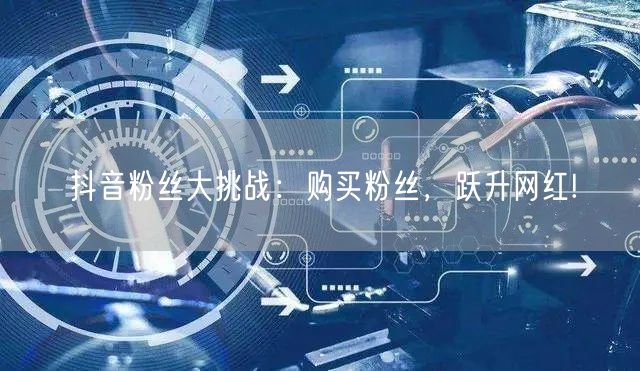 抖音粉丝大挑战：购买粉丝，跃升网红!