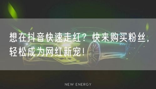想在抖音快速走红？快来购买粉丝，轻松成为网红新宠！