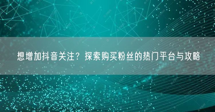 想增加抖音关注？探索购买粉丝的热门平台与攻略