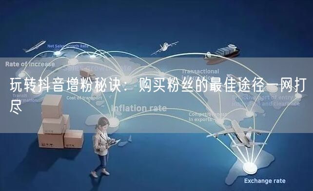 玩转抖音增粉秘诀：购买粉丝的最佳途径一网打尽