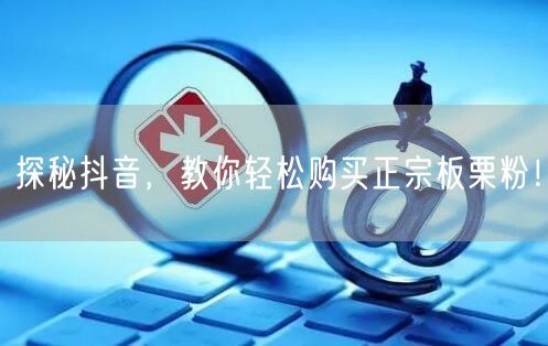 探秘抖音，教你轻松购买正宗板栗粉！