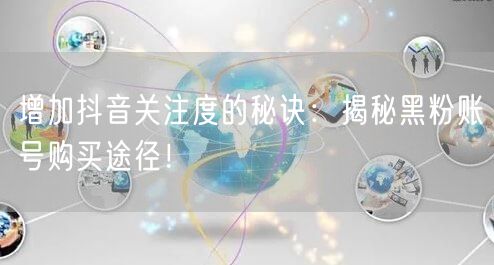 增加抖音关注度的秘诀：揭秘黑粉账号购买途径！