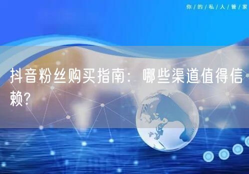 抖音粉丝购买指南：哪些渠道值得信赖?