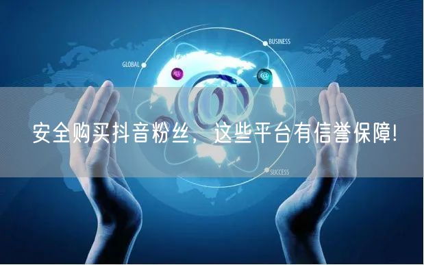 安全购买抖音粉丝，这些平台有信誉保障!