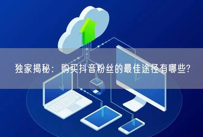 独家揭秘：购买抖音粉丝的最佳途径有哪些?