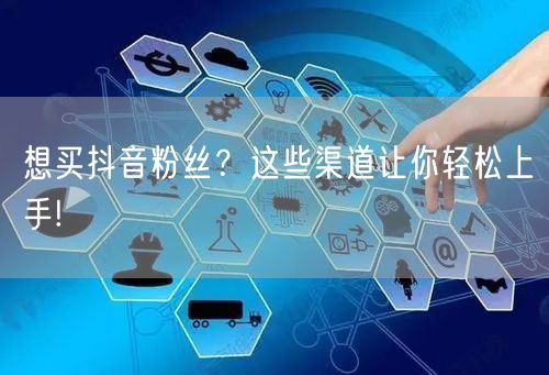 想买抖音粉丝？这些渠道让你轻松上手!
